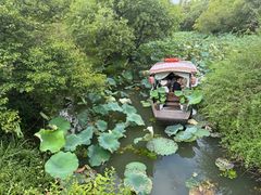 -西溪国家湿地公园