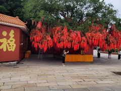 -广州莲花山旅游区