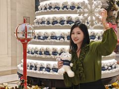 -常州武进九洲喜来登酒店