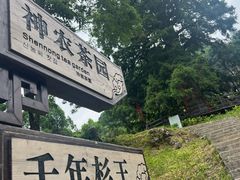 -神农架景区