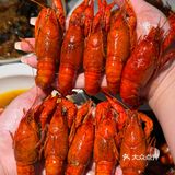 在宁波！！3月就吃到龙虾啦🦞