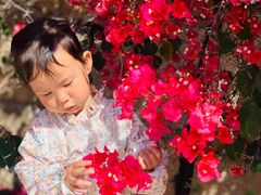 -厦门国家会计学院