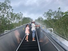 -千岛湖天屿景区