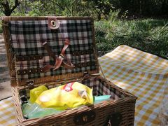 -桤木河湿地公园