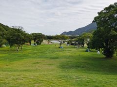 -印象普陀