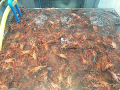 -半岛听涛蒸汽海鲜自助(K11店)
