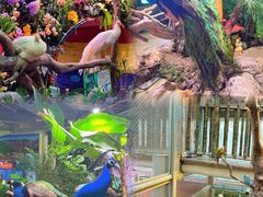-正佳雨林生态植物园