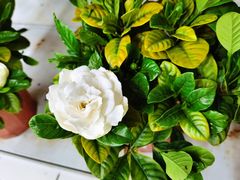 -大润发(勤业店)