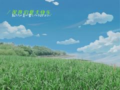 -上海吴淞炮台湾国家湿地公园