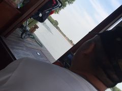 -长兴太湖图影湿地文化园