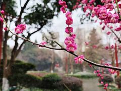 -郑和公园