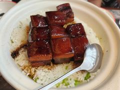 红烧肉焖饭-新白鹿餐厅(松江开元地中海店)