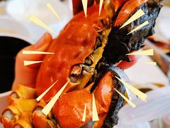 -黄记大闸蟹专卖店·活蟹·醉蟹