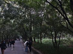 -灵谷景区
