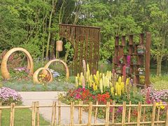 -上海共青森林公园