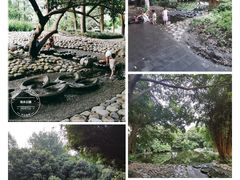 -成都市活水公园
