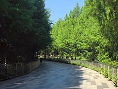 -金鸡湖景区