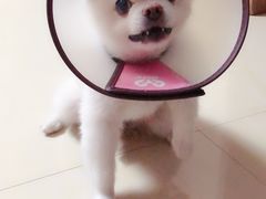 -美迦爱-牙专科·兔科·骨科诊疗中心(北苑店)