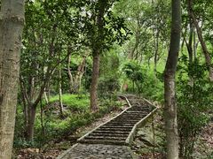 -上海佘山国家森林公园天马山园