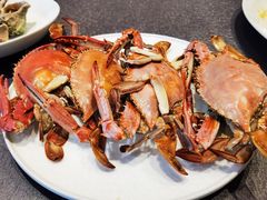 -连鹭海鲜·海肠捞饭·海胆饭(星海店)