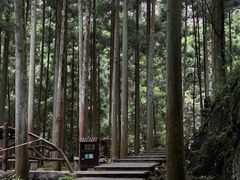 -雁荡山大龙湫景区