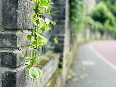 -安仁古镇