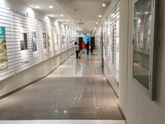 -金陵图书馆