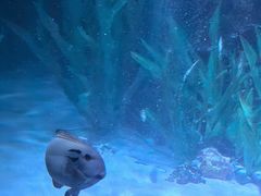 -沈阳海洋探索中心