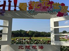 -北陵公园