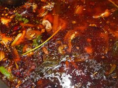 -小饕荟雅安贡椒鱼鲜馆(广福桥店)