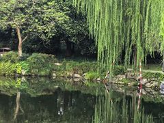 -柳浪闻莺公园