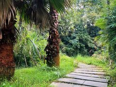 -桤木河湿地公园