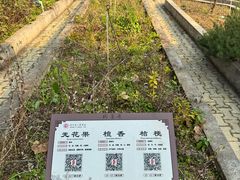 -马王堆汉墓遗址