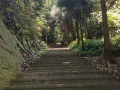 -缙云山景区