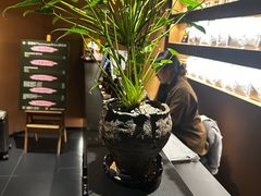 -泰·菩提树下[泰式按摩x精油SPAx肩颈头疗](新景店)