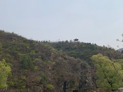 -双新垂钓园