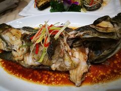 清蒸老虎斑-海霸王特色海鲜家常菜(四合路店)