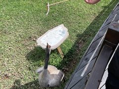 -普洱太阳河森林公园