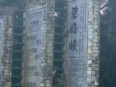 -中国大熊猫保护研究中心雅安碧峰峡基地