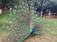 -昆明动物园