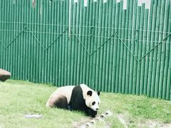 -沈阳森林动物园