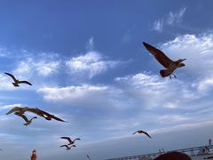 -星海广场