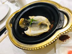 金郭焗东海黄鱼-御仙都北京菜馆·烤鸭店(双井店)