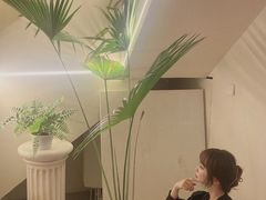 -伊斯坦布尔土耳其清真咖啡餐厅
