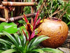-谷咖啡·鲜花绿植花园餐厅