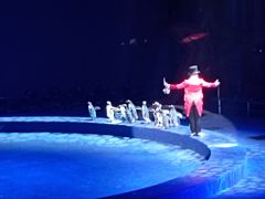 -珠海横琴长隆《卡卡虎奇遇记》