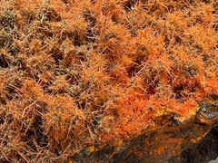 -湖南省地质博物馆