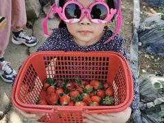 -会江钓鱼钓虾烧烤场