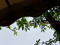 -洛带古镇