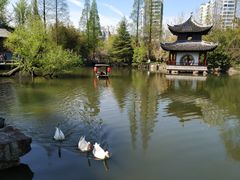 -水绘园